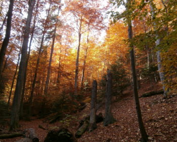 Sokolia dolina, 14.10.2017