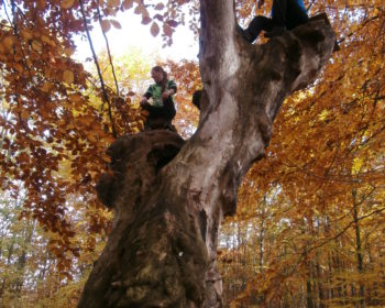 Sokolia dolina, 14.10.2017
